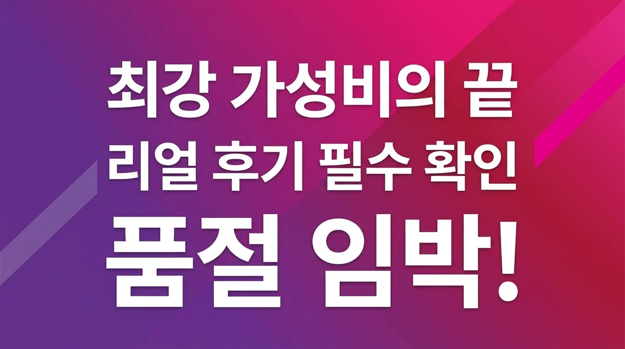 하위영역 가성비 끝판왕! 품절 대란 전 꼭 확인해야 할 리얼 후기