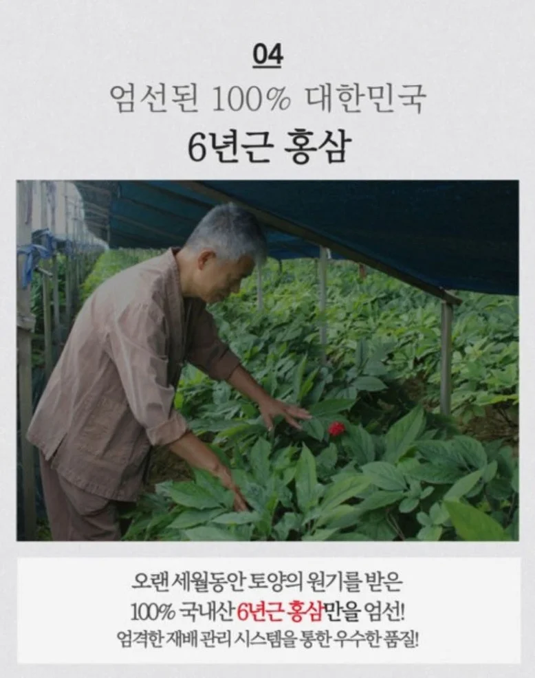 청정인삼 6년근 고려홍삼고스틱 [원산지:국산(충청남도 금산군)] 상세 이미지 4