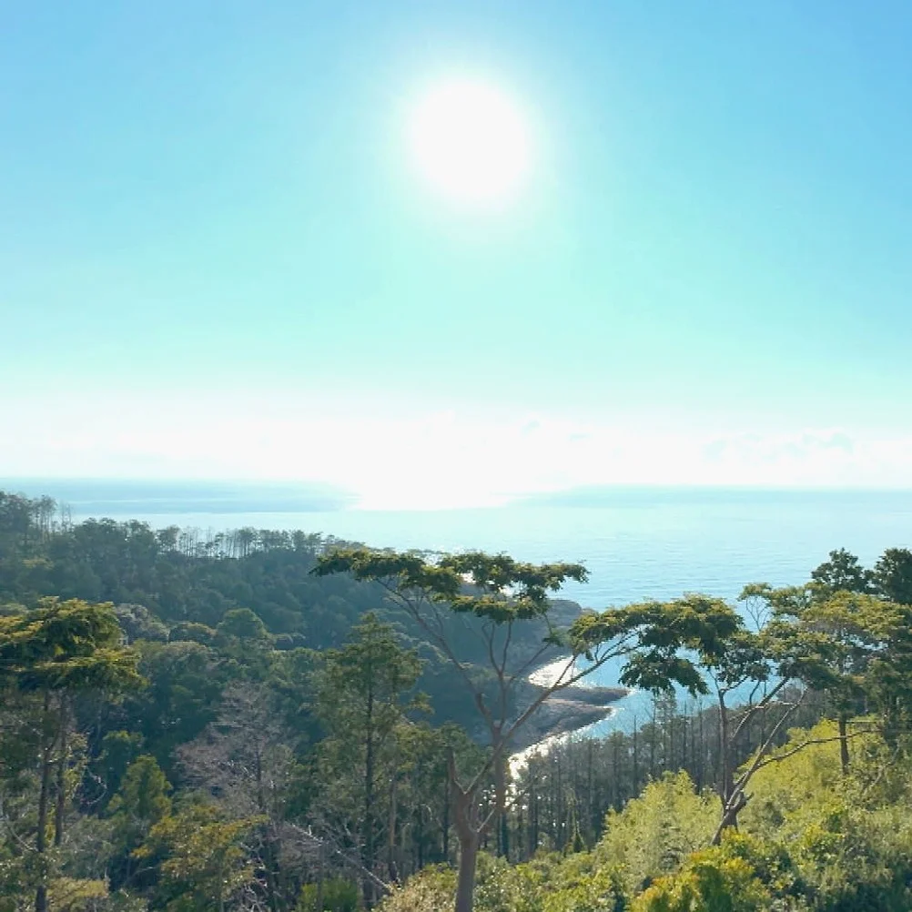 대마도 숙소 이즈하라 가족여행 뷰 호텔 오션뷰 쓰시마 예약 일본만 특전 조식포함 일본 배편 상세 이미지 5