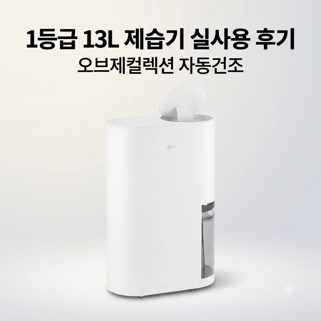 LG 휘센 오브제컬렉션 제습기 13L DQ134MWEC 1등급 자동건조 후기