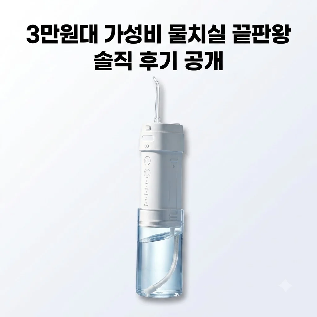 오아 클린이포터블 휴대용 구강세정기, 3만원대 가성비 끝판왕 물치실 솔직 후기