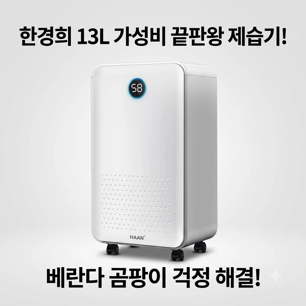 한경희 13L 제습기 원룸 가성비 끝판왕! 베란다 곰팡이 걱정 끝내는 방법