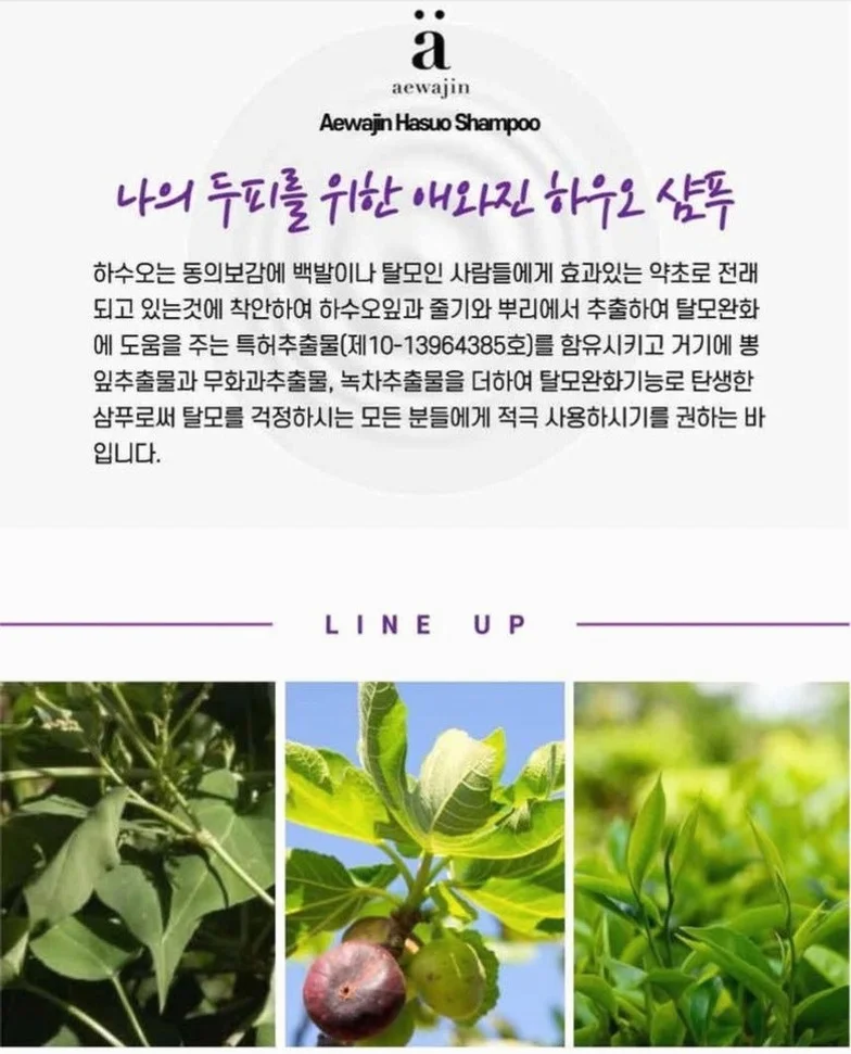 특허추출물 함유 애와진 하수오 샴푸 500ml, 1개 상세 이미지 2