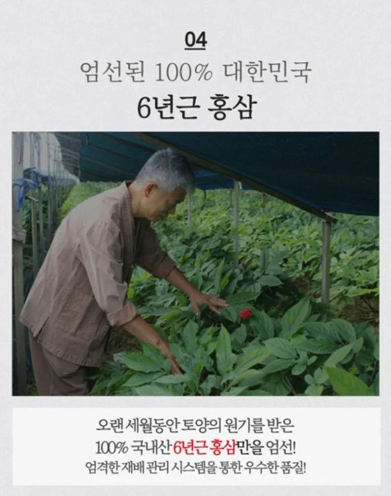 청정인삼 6년근 고려홍삼고스틱 [원산지:국산(충청남도 금산군)] 상세 이미지 2
