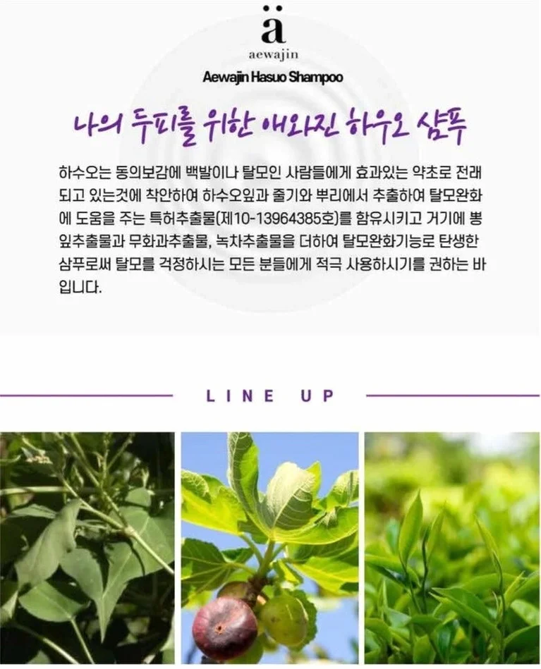 특허추출물 함유 애와진 하수오 샴푸 500ml, 3개 상세 이미지 1