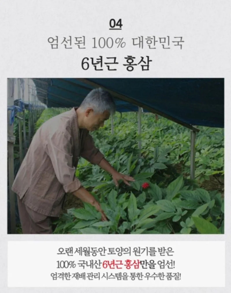 청정인삼 6년근 고려홍삼고스틱 [원산지:국산(충청남도 금산군)] 상세 이미지 4