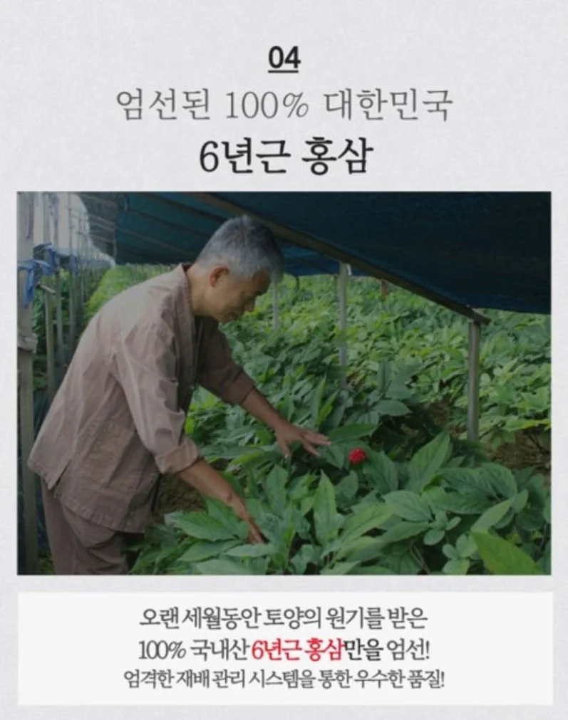 청정인삼 6년근 고려홍삼고스틱 [원산지:국산(충청남도 금산군)] 상세 이미지 2