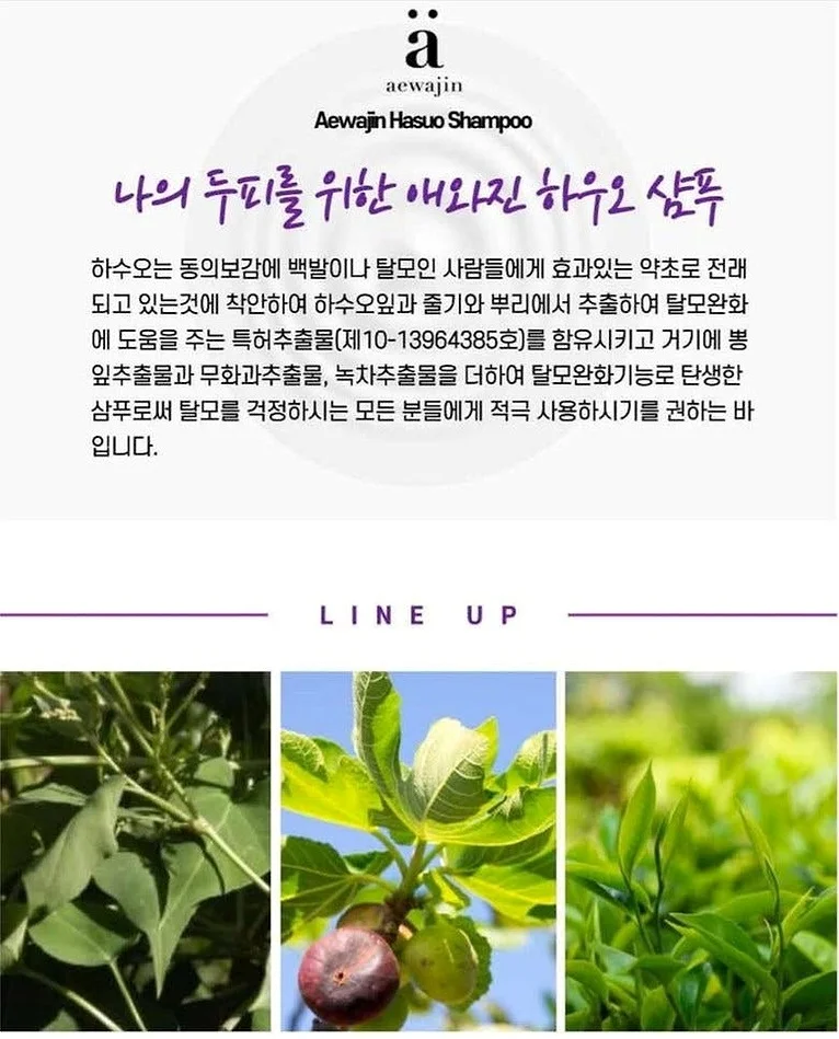 특허추출물 함유 애와진 하수오 샴푸 500ml, 1개 상세 이미지 3