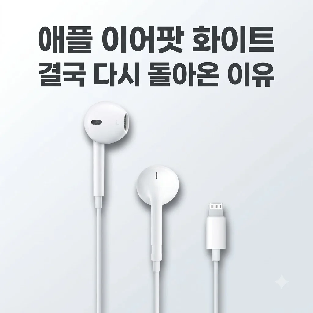 애플 이어팟 유선 이어폰 화이트 라이트닝, 에어팟 쓰다 결국 다시 돌아온 이유