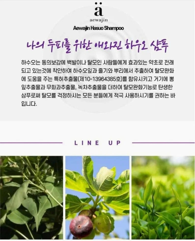 특허추출물 함유 애와진 하수오 샴푸 500ml, 3개 상세 이미지 2