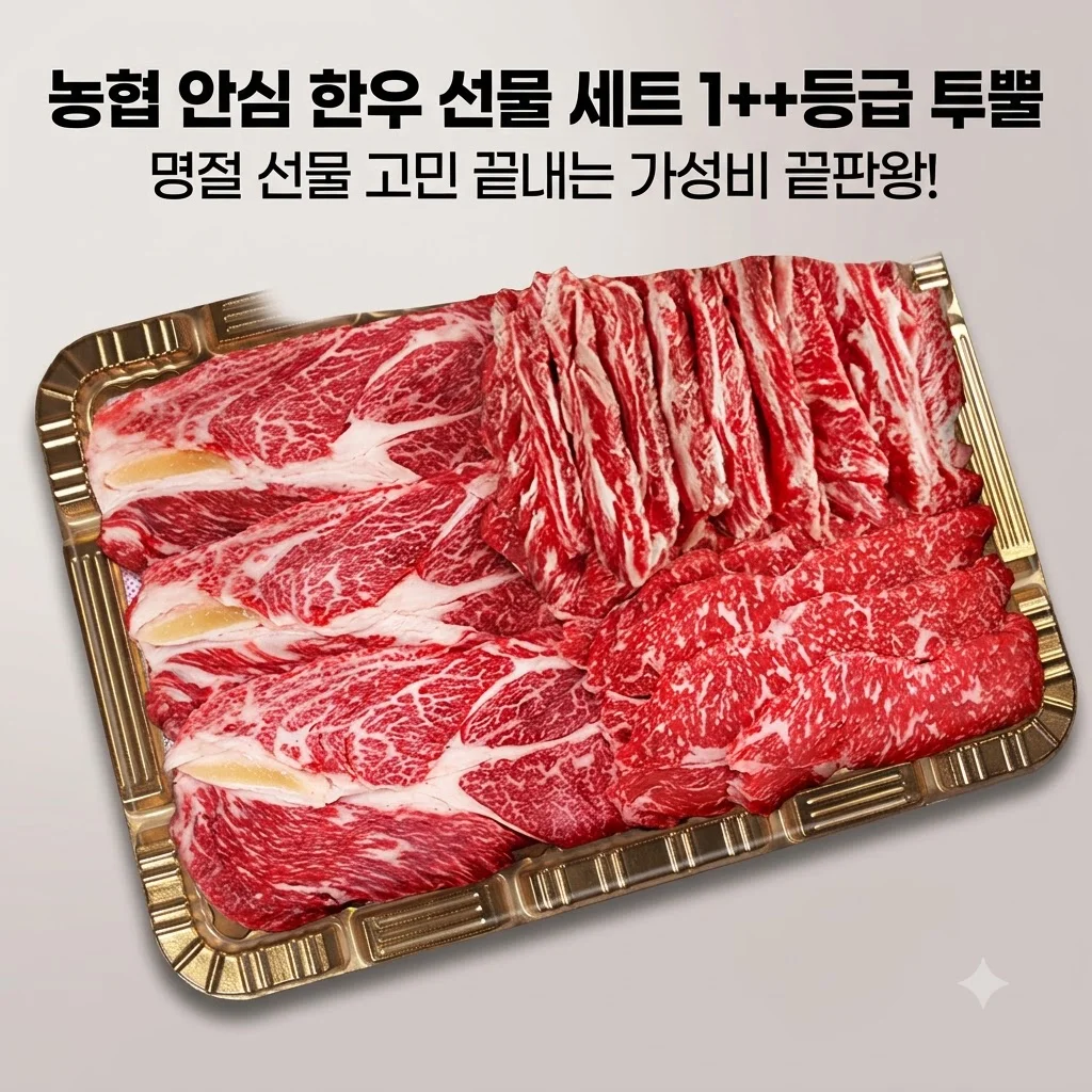 농협 안심 한우 선물 세트 1++등급 투뿔, 명절 선물 고민 끝내는 가성비 끝판왕!