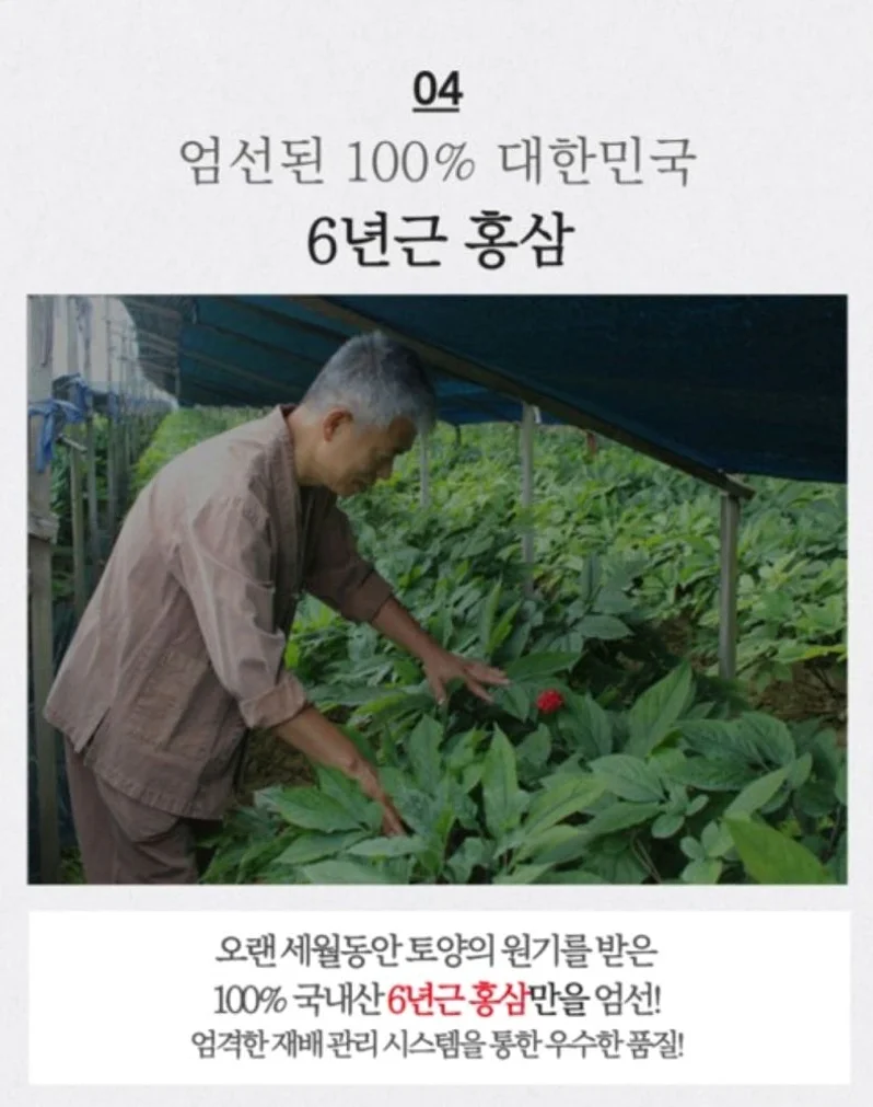 청정인삼 6년근 고려홍삼고스틱 [원산지:국산(충청남도 금산군)] 상세 이미지 2