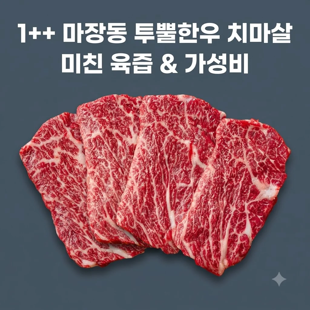 ++1 마장동 투뿔한우 치마살 화려한우 1++ 등급의 미친 육즙과 가성비 후기
