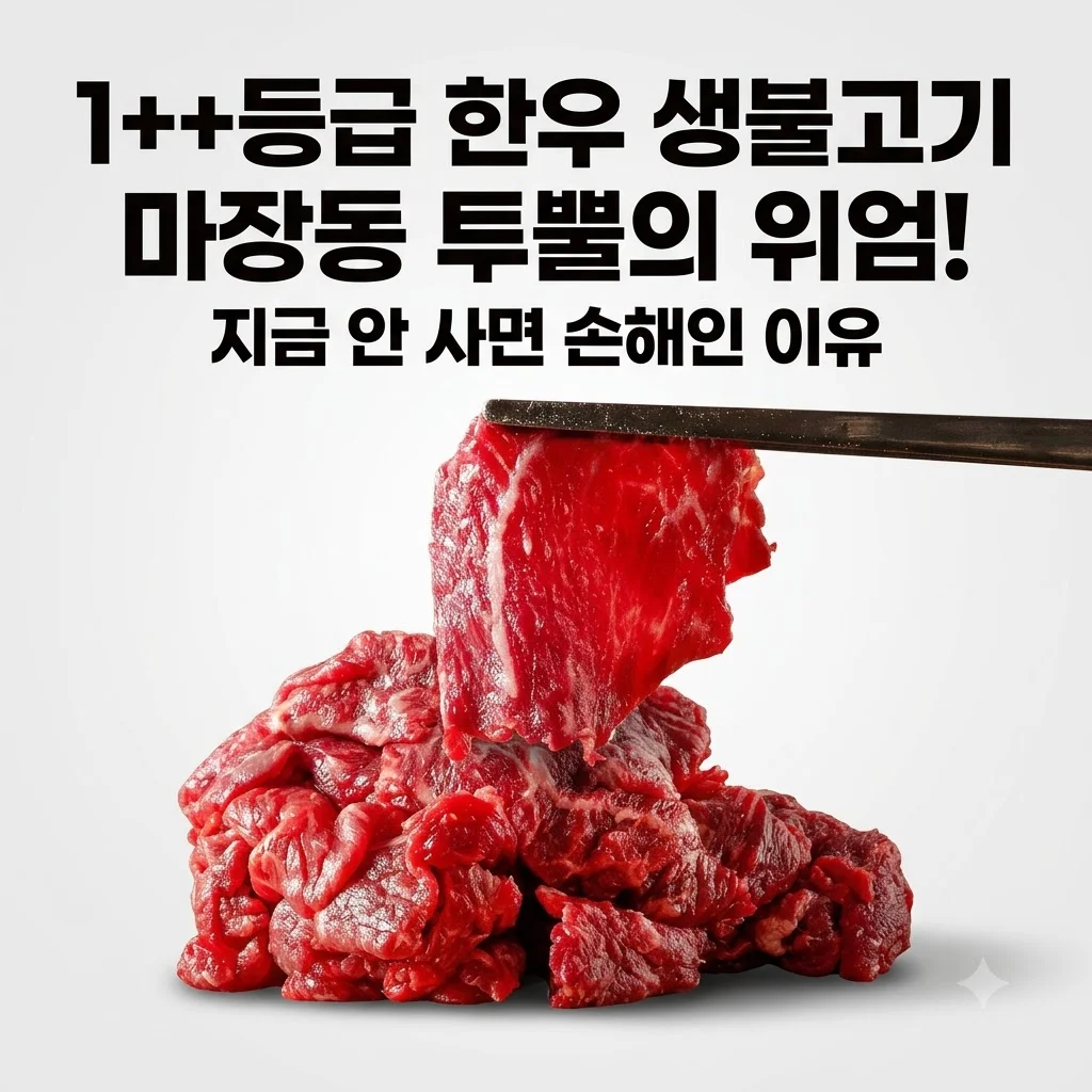 1++등급 한우 생불고기 마장동 투뿔의 위엄! 지금 안 사면 손해인 이유
