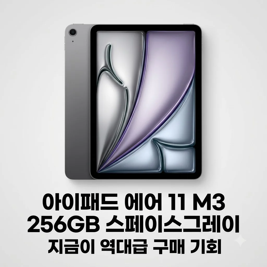 아이패드 에어 11 M3 256GB 스페이스그레이 지금이 역대급 구매 기회