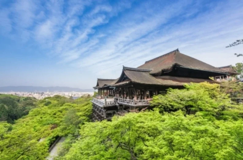 [출발확정] 오사카/교토/고베 3일 일본단풍즐기기 교토산책 낭만항구고베 오사카시내호텔숙박 전통화과자제공 일루미네이션즐기기 DAY 2 여행 사진