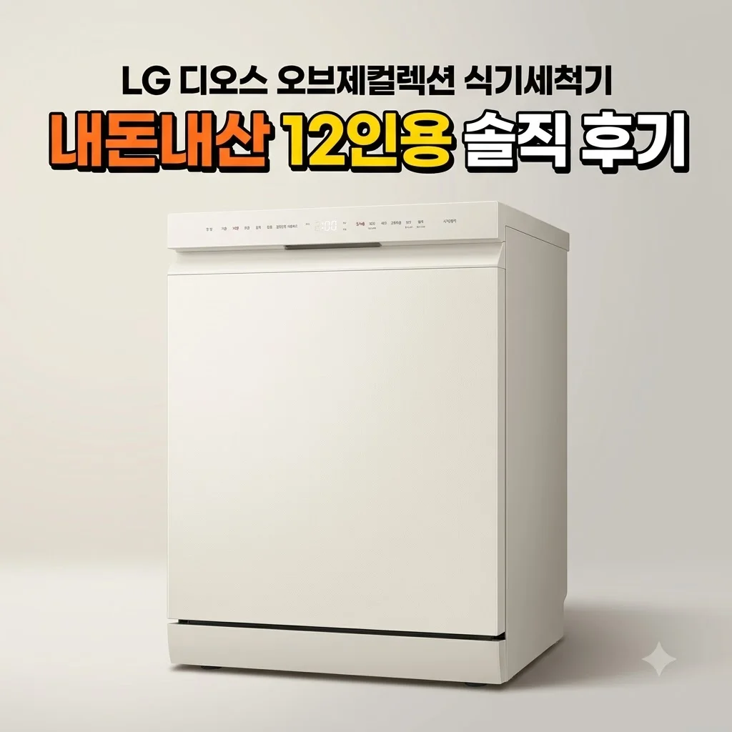 LG 디오스 오브제컬렉션 식기세척기 DUE4BGE 내돈내산 12인용 솔직 후기