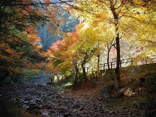 대마도2일/부산출발/힐링여행/노바호/1항차 09/10출발 - 12/30리턴 [소아루리조트] 가볍게 떠나는 힐링의섬 대마도/온천/BBQ/히타카츠 왕복 여행 사진