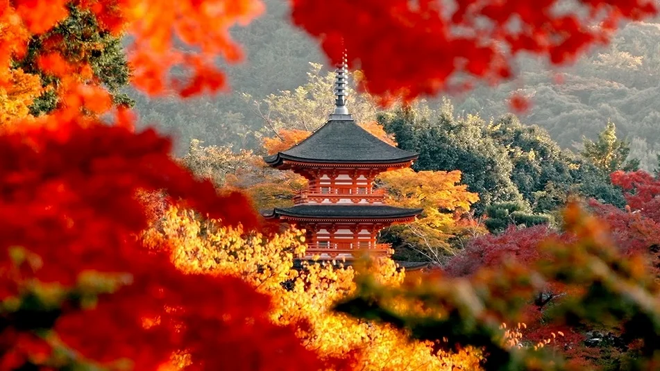 [여행핫딜] /마감임박/출발확정/ 오사카3일 [온천호텔/풀패키지] 교토/노면전차탑승/기모노숲/고베야경/하버랜드/오사카성/도톤보리 DAY 2 여행 사진