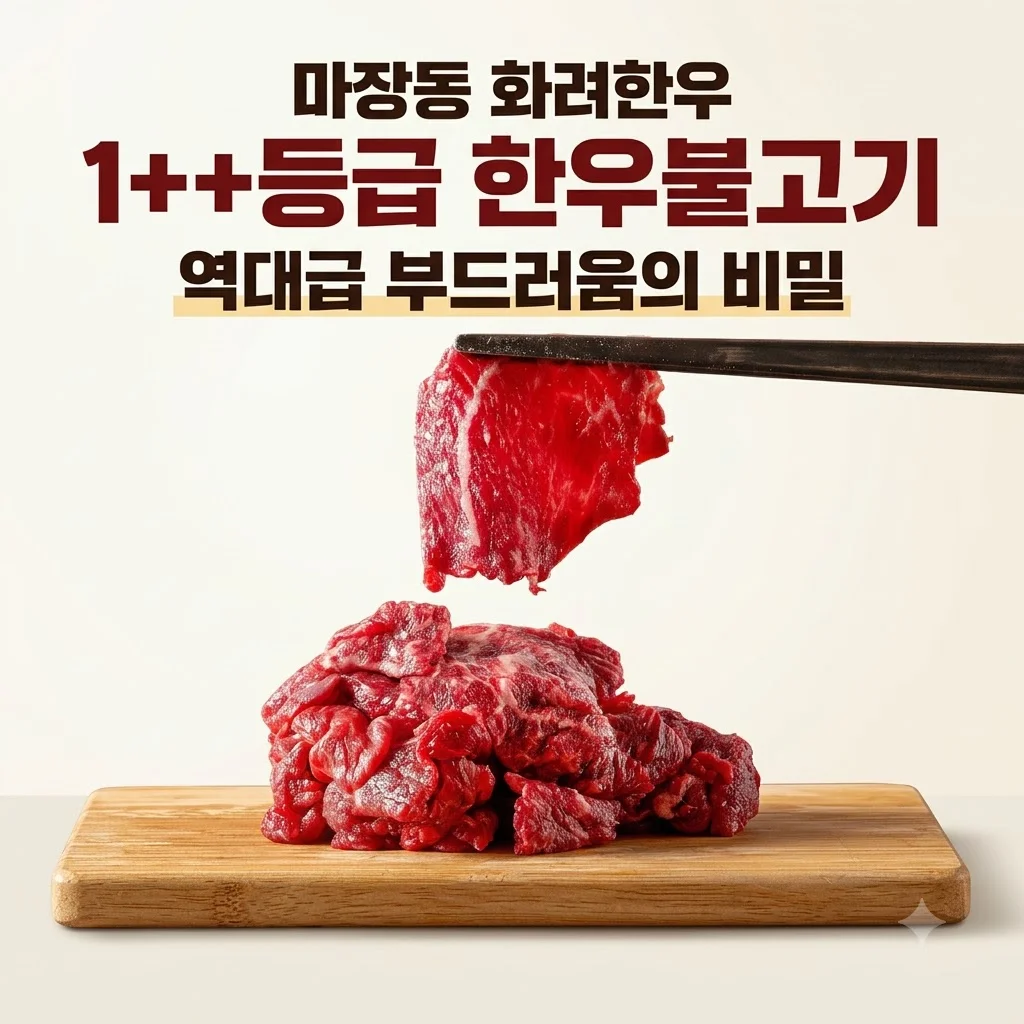 마장동 화려한우 1++등급 한우불고기 역대급 부드러움의 비밀