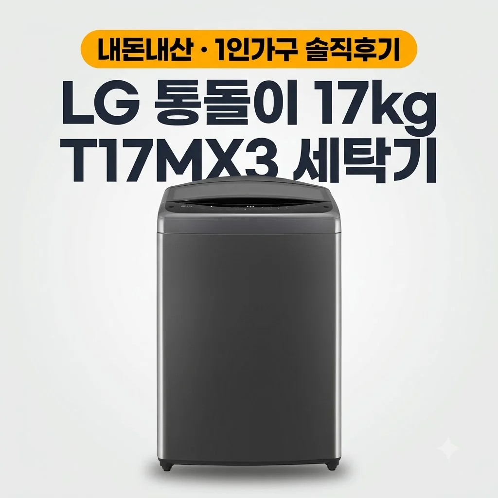 LG 통돌이 17kg T17MX3 세탁기 1인가구 솔직후기 내돈내산