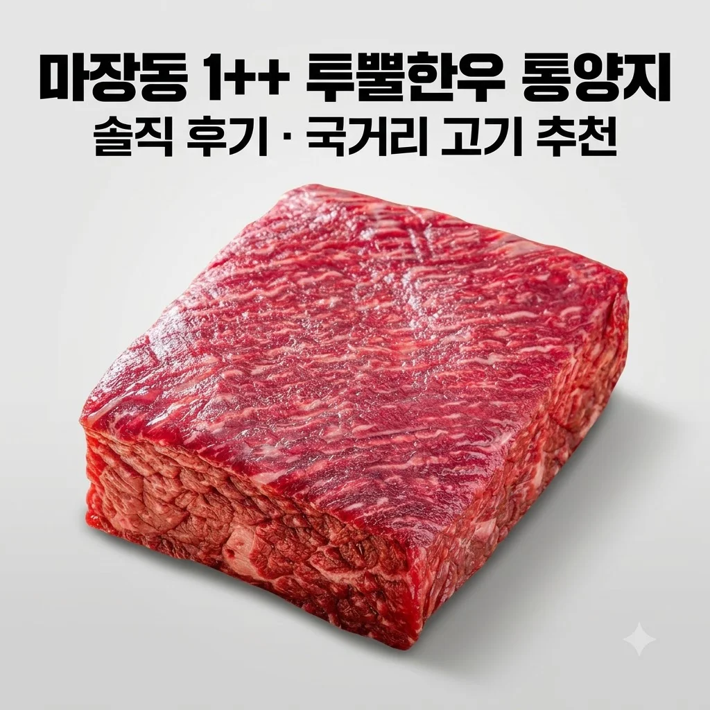 ++1 마장동 투뿔한우 통양지 솔직 후기, 국거리 고기 추천